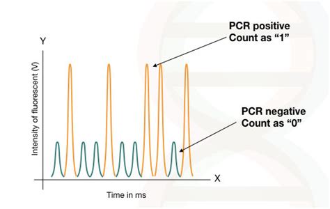 Image result for Digital PCR Tutorial