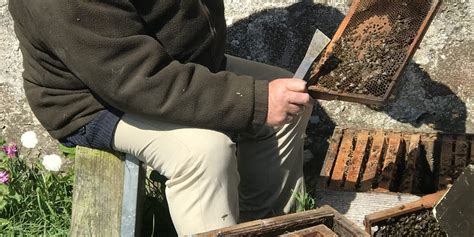 Image result for Spring Beekeeping