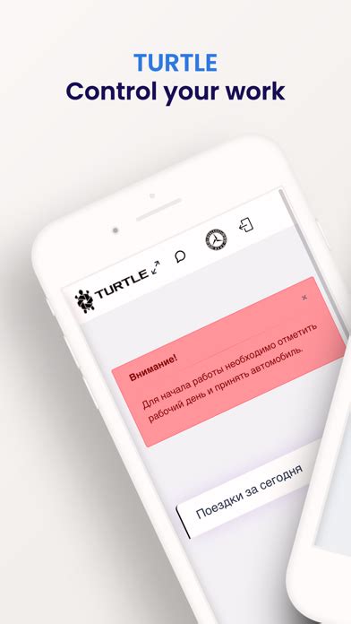 Image result for Turtle App Free Download