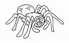 gratis malvorlagen spinnen gratis ausmalbilder spinne ausmalbilder gratis malvorlagen spinnen gratis ausmalbilder spinne ausmalbilder