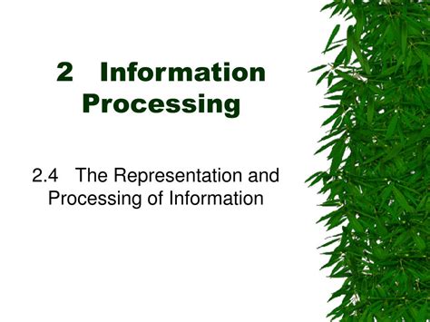 Image result for Information Processing Explained