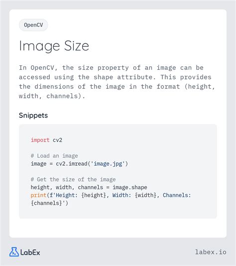 OpenCV Size 的图像结果