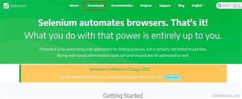 Selenium Download Naveen Automation Lab 的图像结果