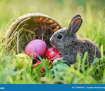Image result for Easter Bunny with Basket of Eggs