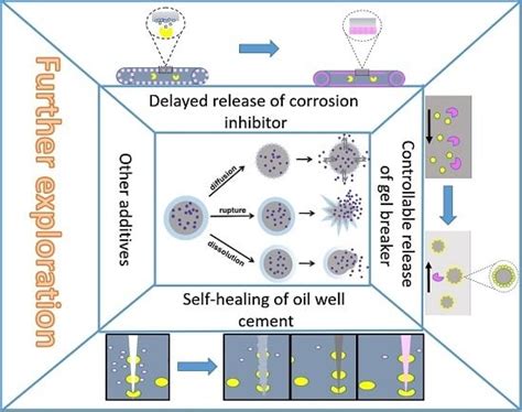 Research Advances of Microencapsulation and Its Prospects in the ...