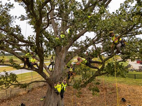 Russell Tree Experts — The 5 Steps to Become an ISA Certified Arborist®!