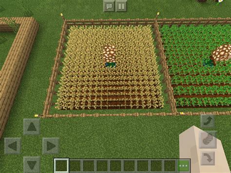 Image result for Minecraft Farming Pattern