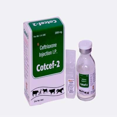 Cotcef 2 - Ceftriaxone For injection - Iskon Remedies