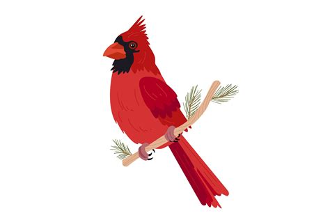 Red Cardinal Bird on Branch Graphic by Miss Chatz · Creative Fabrica