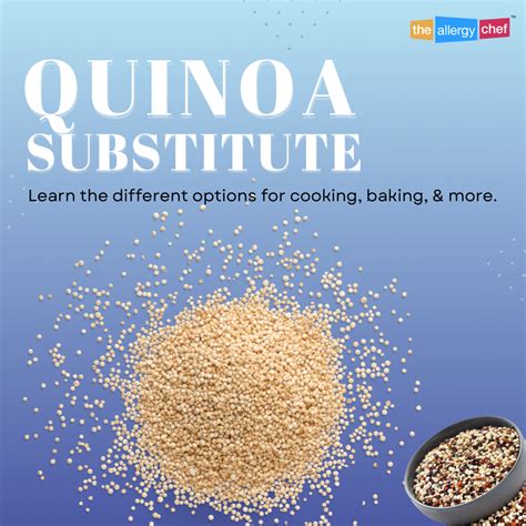 Quinoa Substitutes and Alternatives for Cooking & More | The Allergy Chef™