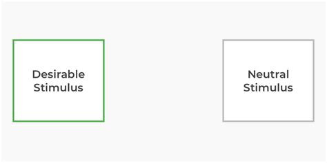 Image result for Classical Condiioning Chart