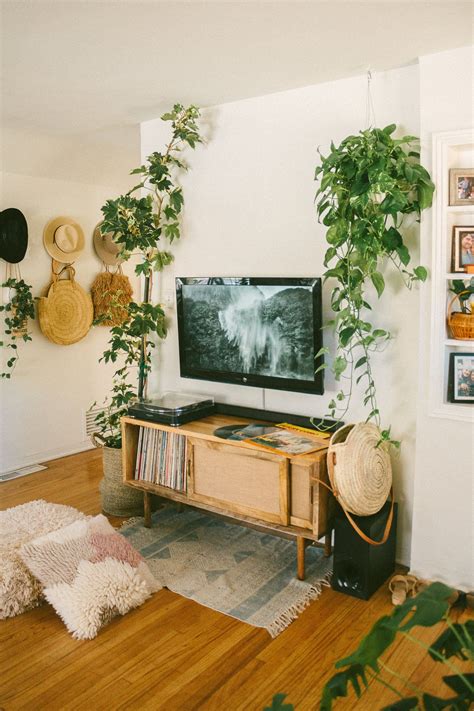 How to Hang Indoor Plants from the Ceiling