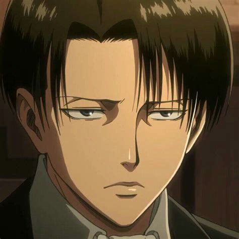 Levi Aot 的图像结果