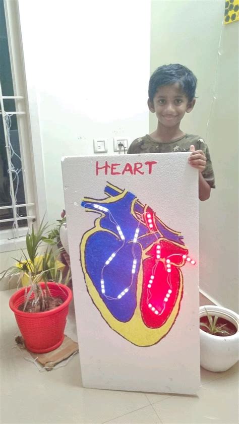 Image result for How to Make Model of Human Heart Using Flour