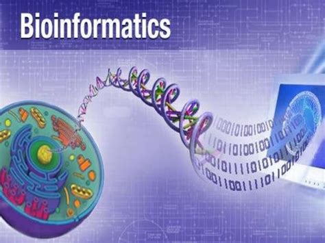 Bioinformatics Introduction 的图像结果
