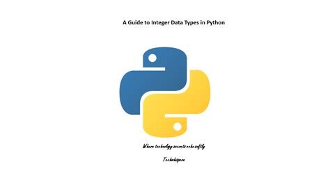 Python Integer Programming 的图像结果