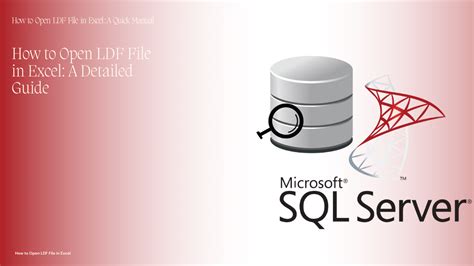 Image result for Open Ldecp File