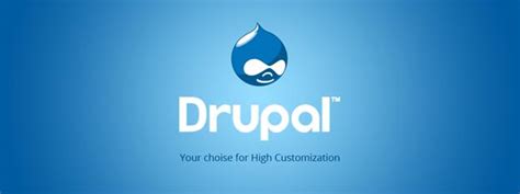 Image result for Drupal Programmers