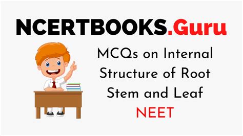 Image result for NEET Root Modification Questions