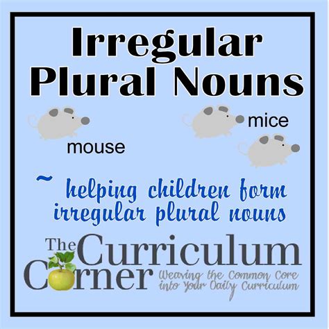 Plural Of Curricular