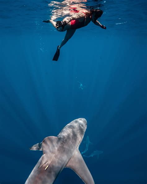 Maddison Noel | Fitness Coach | When in Rome, right? If you’re in Florida, I couldn’t recommend ...