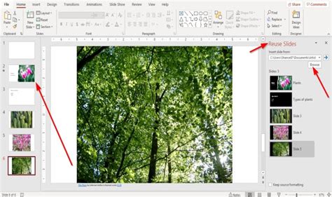 Image result for Comment Diffuser Un PowerPoint