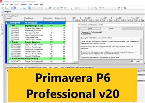 Image result for Programa Primavera P6