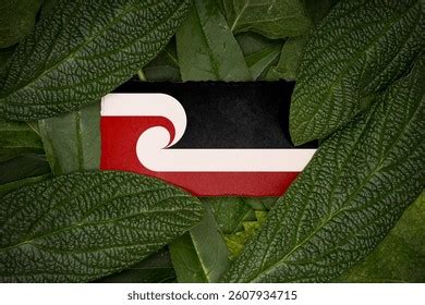 Image result for St Helens Merseyside