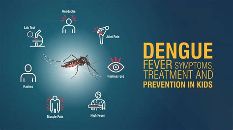 Yellow Fever Symptoms, Treatment & Prevention Tips