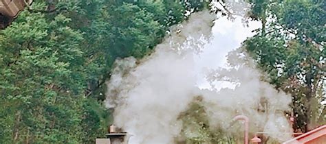 Puffing Billy and Moonlit Sanctuary Day Tour - Klook India