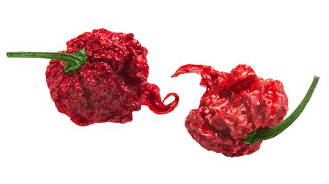 Spice Up Your Culinary Game with Carolina Reaper Recipes