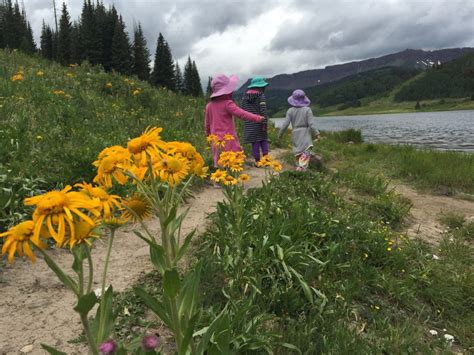 Best Campgrounds in Aurora Colorado