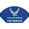 U.S. Air Force Logo Veteran Hat Patch 2 3/4" x 5 1/4" | Michaels