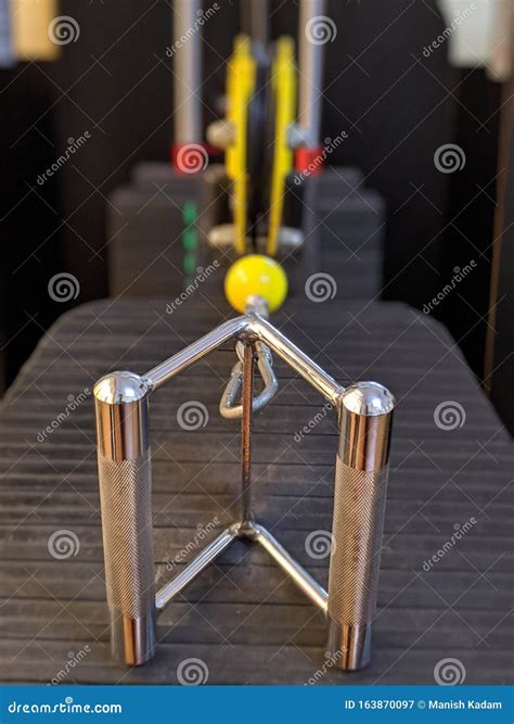 Image result for Back Muscle Machine