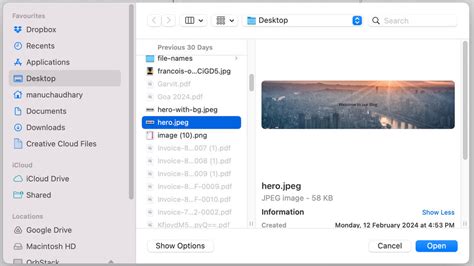 Image result for Show Image On HTML Page with File Upload