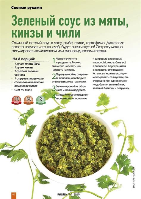 Зеленый соус из кинзы, мяты и чили | Рецепты еды, Здоровое питание ...