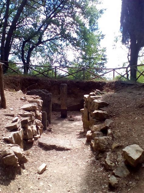Necropolis of Poggino, Castellina In Chianti - Tripadvisor