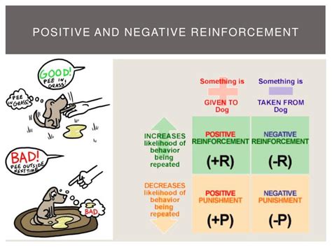 Image result for Negative Reinforcement Examples