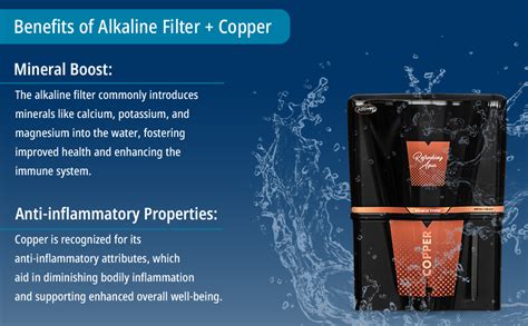 Addyz Black RO+ Water Purifier | With Active Copper Filter | 12L ...