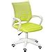Alex Daisy Mesh Study Chair (Standard, Green) : Amazon.in: Home & Kitchen