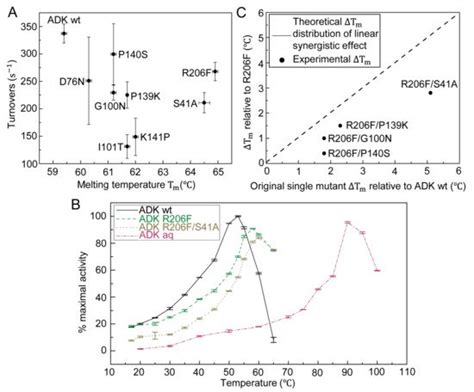 Rational Design of Adenylate Kinase Thermostability through Coevolution ...