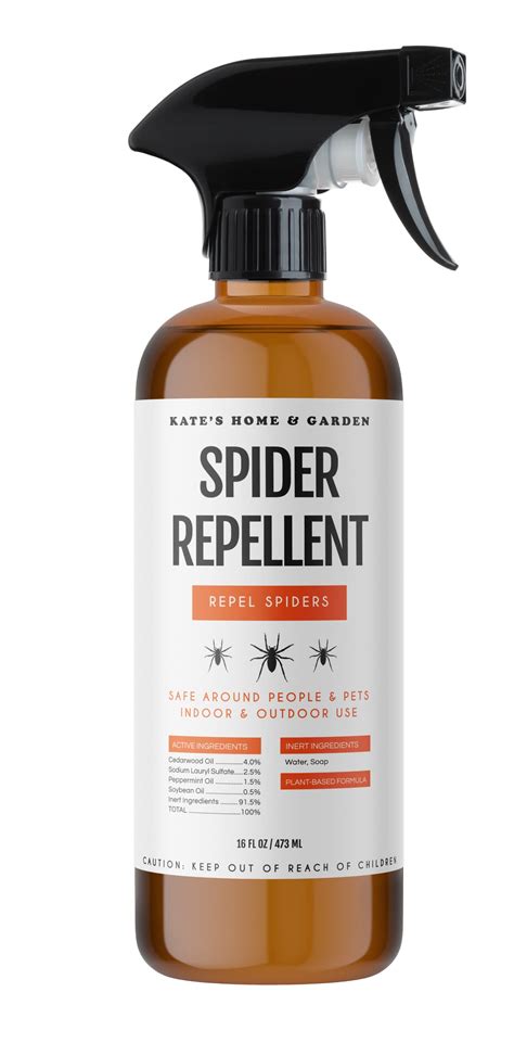 Top 5 Best Natural Spider Repellent 2026 - Pixelfy blog