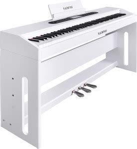 KADENCE DP02W Digital Piano, Heavy Weighted 88 Keys with Indian Tone, w ...