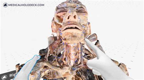 Image result for Virtual Reality Body Systems