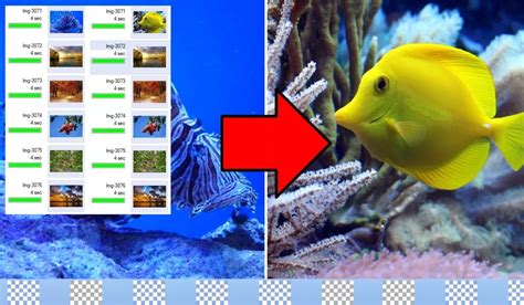 Image result for Slideshow Free Program