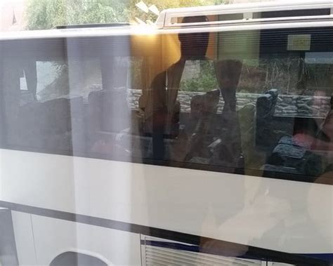 GUDAURI INN - Lodge Reviews, Photos, Rate Comparison - Tripadvisor