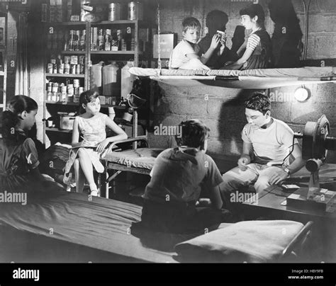 Image result for Ladybug Bottom