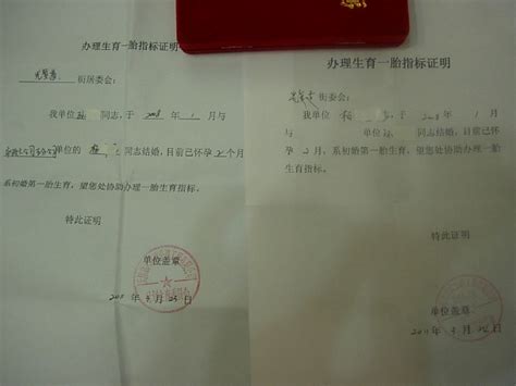天津市孕产妇如何申领准生证、办理社险、立本儿-秋水-搜狐博客