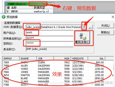 Informatica Automapping Demo 的图像结果