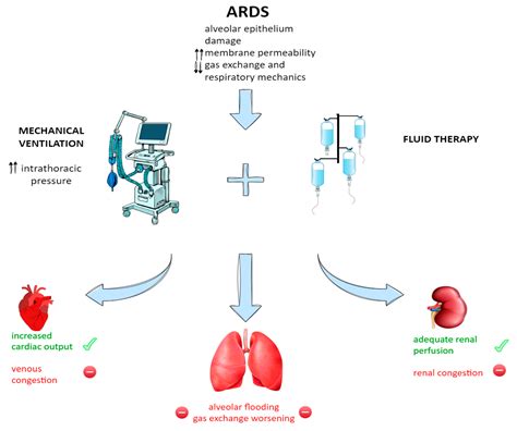 Acute Respiratory Distress Syndrome and Fluid Management: Finding the Perfect Balance